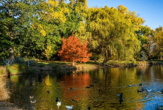 Castlemaine Botanical Gardens, Australia